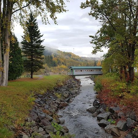 Condo-Chalet De La Vallee D'Edouard LʼAnse-Saint-Jean Eksteriør billede