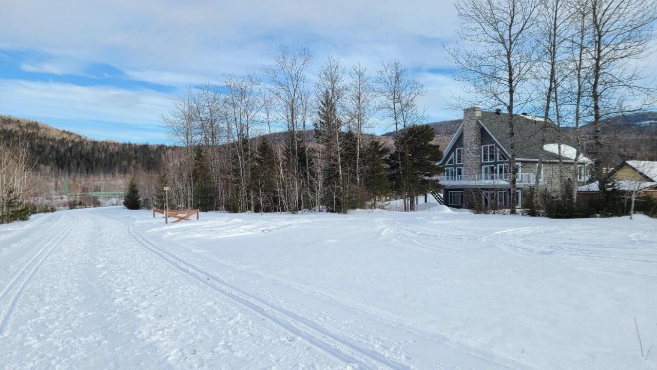 Condo-Chalet De La Vallee D'Edouard LʼAnse-Saint-Jean Eksteriør billede