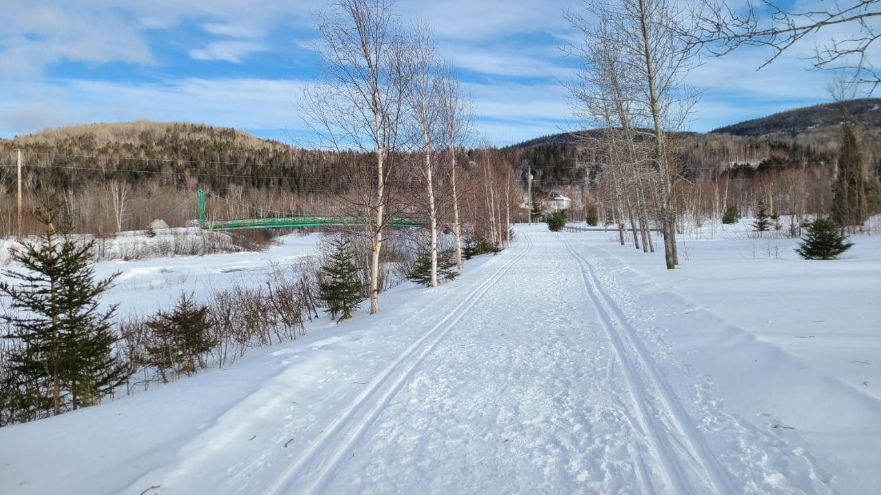 Condo-Chalet De La Vallee D'Edouard LʼAnse-Saint-Jean Eksteriør billede
