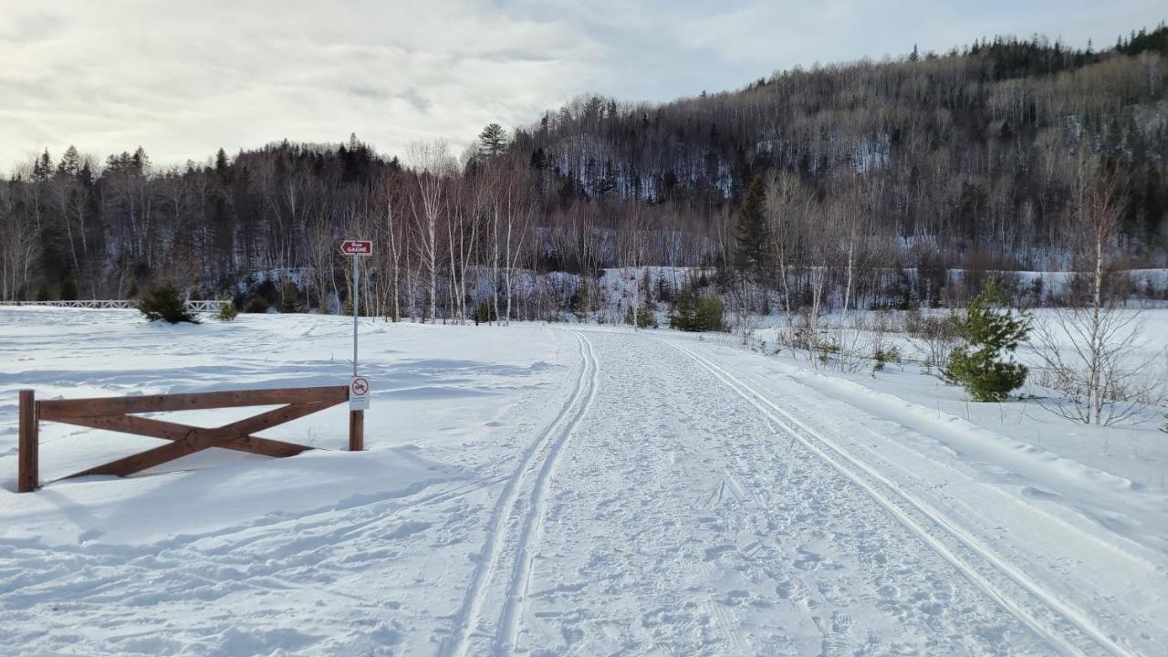Condo-Chalet De La Vallee D'Edouard LʼAnse-Saint-Jean Eksteriør billede