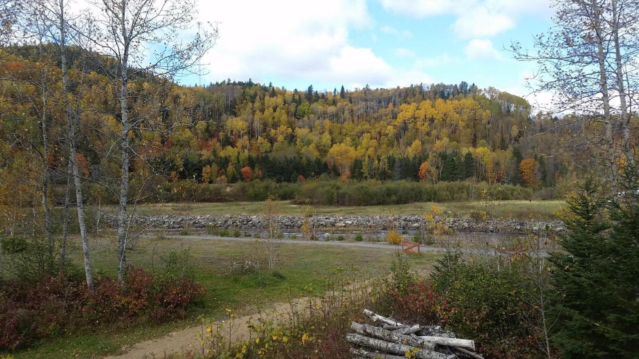 Condo-Chalet De La Vallee D'Edouard LʼAnse-Saint-Jean Eksteriør billede
