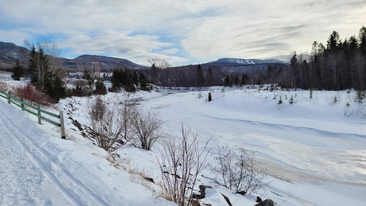 Condo-Chalet De La Vallee D'Edouard LʼAnse-Saint-Jean Eksteriør billede