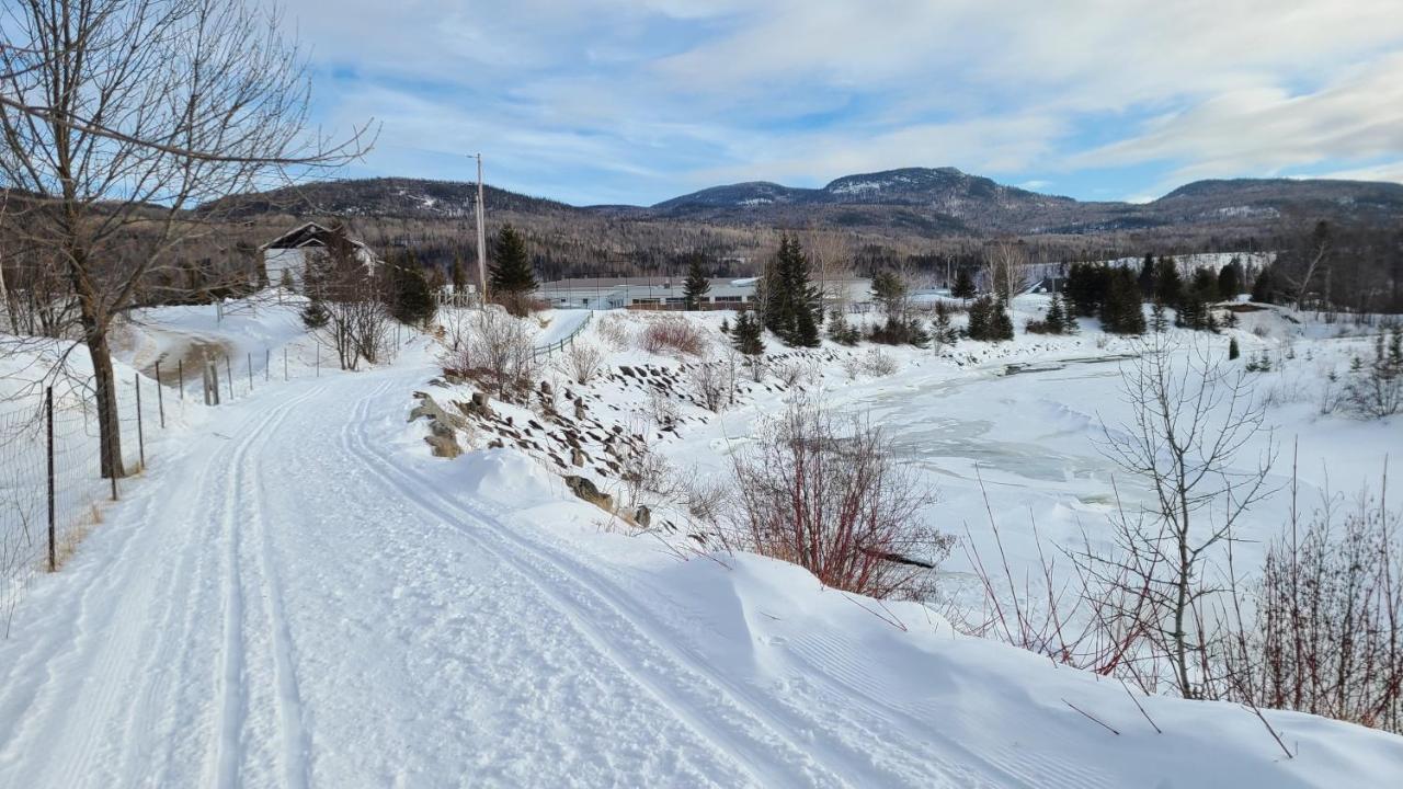 Condo-Chalet De La Vallee D'Edouard LʼAnse-Saint-Jean Eksteriør billede
