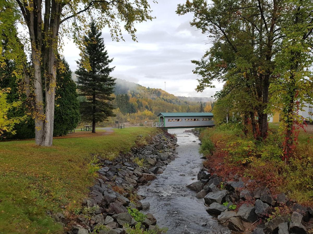 Condo-Chalet De La Vallee D'Edouard LʼAnse-Saint-Jean Eksteriør billede